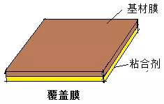 2.webp.jpg